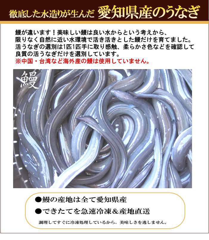 うなぎ割烹「一愼」特製うなぎ長蒲焼5尾　おいしいうなぎ屋さん