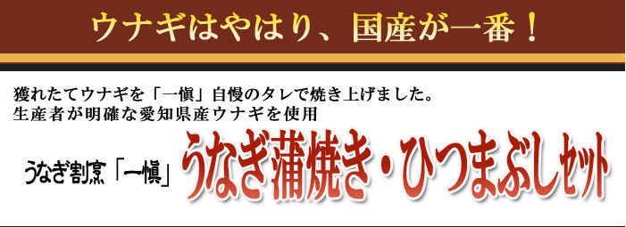 送料無料】うなぎ(鰻)の通販ギフトお取り寄せ-「うな一」 御歳暮