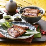 静岡産うなぎ「静生旅鰻」(せいしょうロマン)　カット蒲焼き80g2袋セット